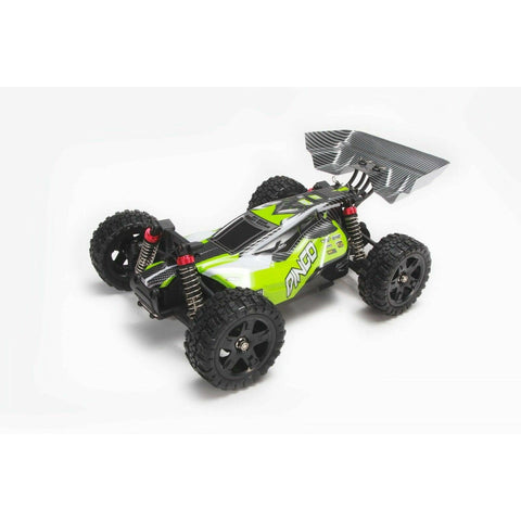 Remo Hobby Waterproof 1:16 4WD Off Road Brushed Buggy Truck High Speed RC Cars